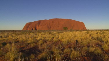Typical iconic wide shot of Uluru late afternoon sunlight with shadows beginning to fall across desert Spinifex plain.