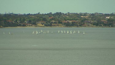 Perth Scenic. Swan River with sail boats