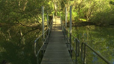 Bridge over quiet stream in forest