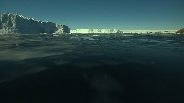 Icebergs and Scenics of Dumont Du'Ville-Antarctic