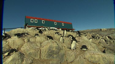 Scenics of Dumont Du'Ville - Antarctica