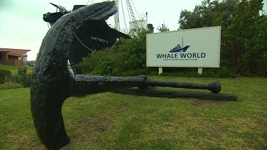 Albany Whale World Scenic