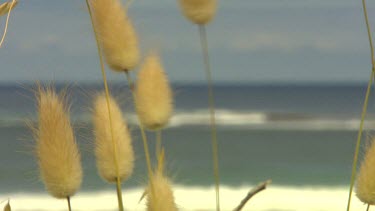 Margaret River Scenic
