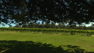 Margaret River Vineyards & Farms Scenic