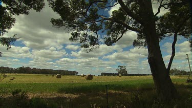 Margaret River Vineyards & Farms Scenic