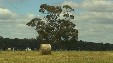 Margaret River Vineyards & Farms Scenic