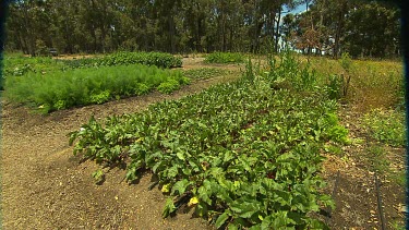 Margaret River Organic Food