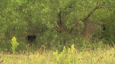 Oil Shale Works Ruins