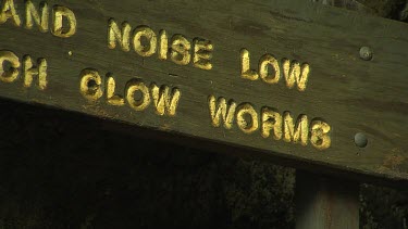 Glow Worms