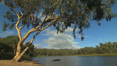 Capertee Nature Scenic
