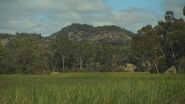 Capertee Nature Scenic