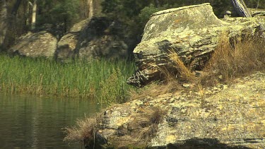 Capertee Nature Scenic