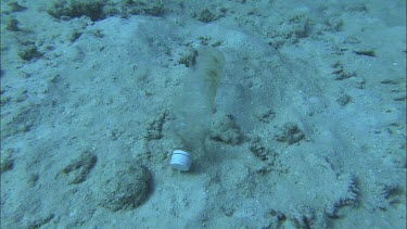 Plastic bottle container at bottom of ocean.