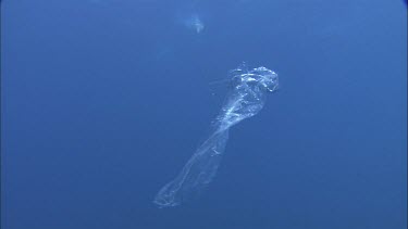 Plastic bag floating, suspended, slowly sinking to the bottom of the ocean.