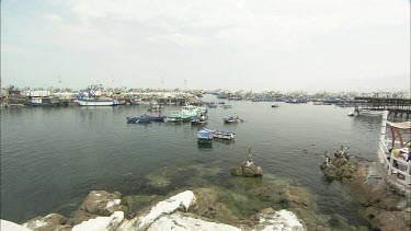 Very busy port in Ilo Peru. Rowing boats and fishing boats. Pelicans and guano covered rocks in foreground.
