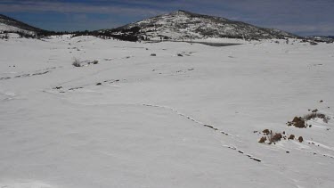 Aerial of Cuyamaca Moutains in Snow, South California