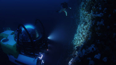 Richard Pyle at 250 feet using trimix rebreather with DeepSee Submersible