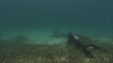 Diver films Manatees.