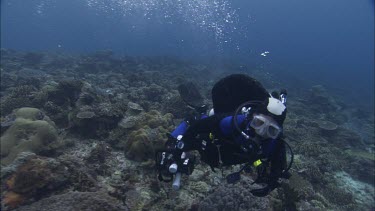 Divers swimming in the ocean.