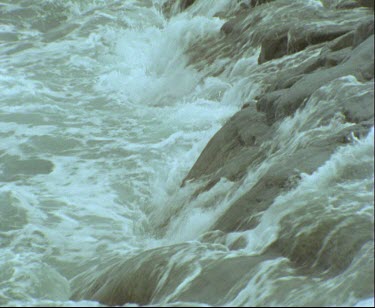 Adelie penguins in rough waters. High surf, waves crashing penguin comes out onto rocks. Hopping onto rocks