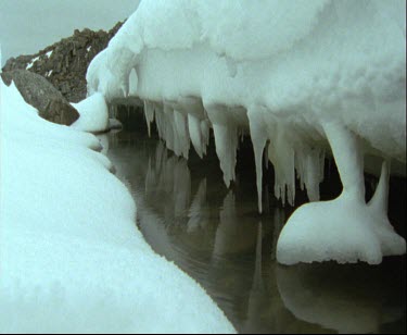 Icicles hanging down from thick ice into lake.