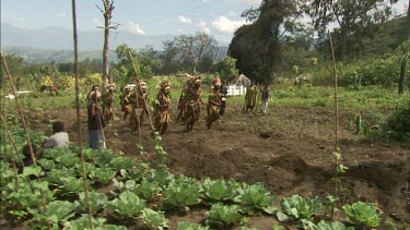 "Sorrow Dance" dance for honey bees. Men in traditional Papua New Guinean tribal dance wear.