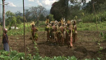 "Sorrow Dance" dance for honey bees. Men in traditional Papua New Guinean tribal dance wear.