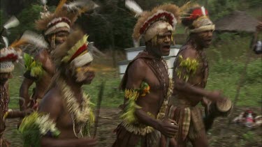 "Sorrow Dance" dance for honey bees. Men in traditional Papua New Guinean tribal dance wear.