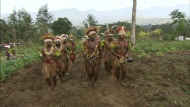 "Sorrow Dance" dance for honey bees. Men in traditional Papua New Guinean tribal dance wear. Men cover themselves in white chalk or ash.