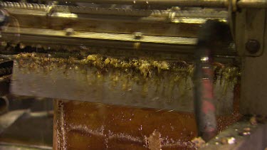 Honey factory. Honey comb and machine extracting honey from comb. Factory workers.