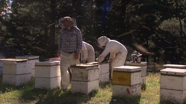 Beekeepers and hives