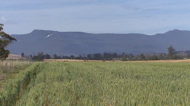 Crop dusting with light plane