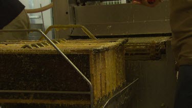 Honey factory