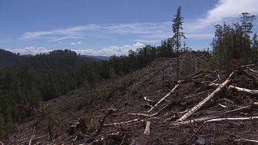 Tasmania. Logging site, see fallen trees. Various.
