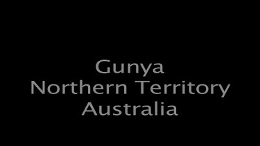 Gunya Northern Territory Australia