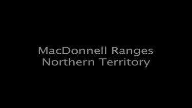 MacDonnel Ranges Northern Territory