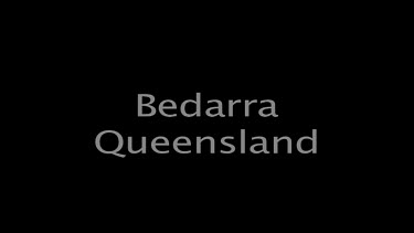 Bedarra Queensland
