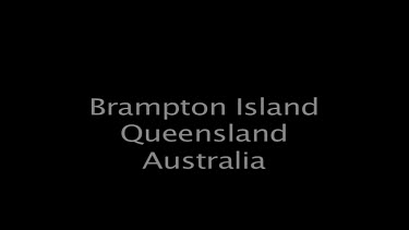 Brampton Island Queensland Australia