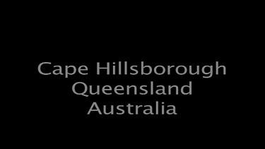 Cape Hillsborough Queensland Australia