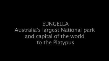 Eungella Australia's largest National park and capital of the world to the Platypus