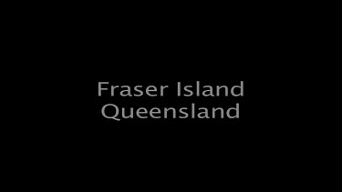 Fraser Island Queensland