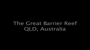 Great Barrier Reef Australia QLD, Australia