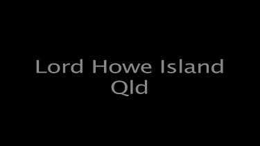 Lord Howe Island Qld