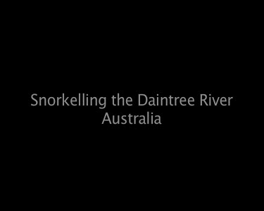 Snorkelling the Daintree Australia