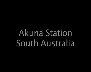 Akuna Station South Australia