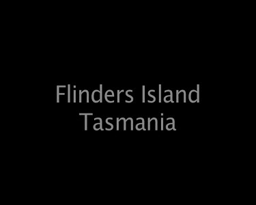 Flinders Island Tasmania