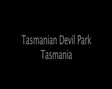 Tasmanian Devil Park Tasmania