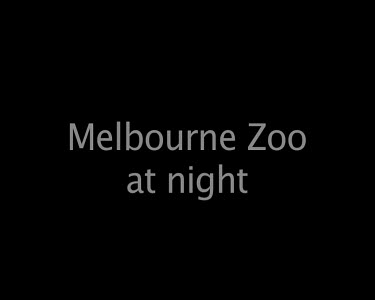 Melbourne Zoo at night
