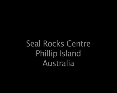 Seal Rocks Centre Phillip Island Australia