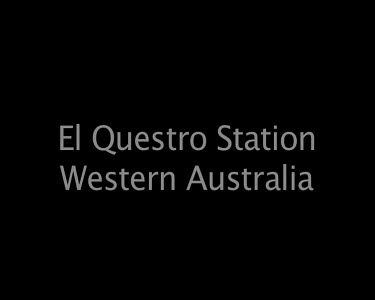 El Questro Station Western Australia